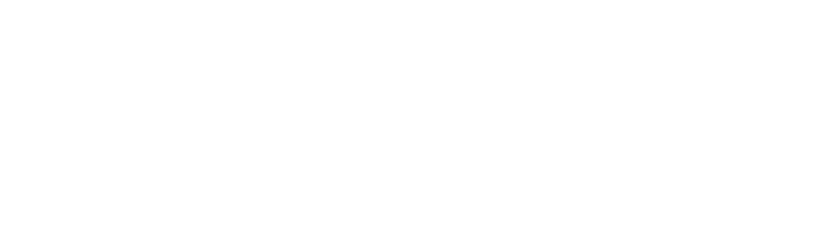 vs-logo-img